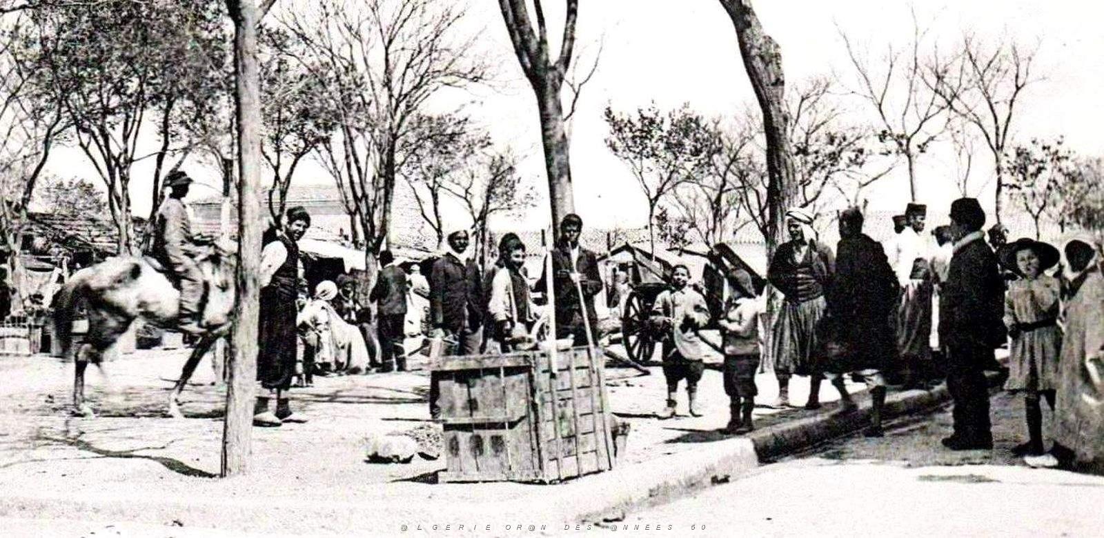1729- Ain-Beida - Le Marche2 aux legumes.jpg
